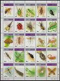 [Insects and Spiders, type BJW]