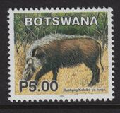 [Mammals, τύπος ACG]