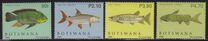 [Fish of Okavango Delta, Typ AEP]