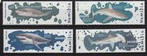 [Marine Life - Sharks, Tip AFE]