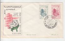 [Cotton Festival - Aleppo, ประเภท AR]
