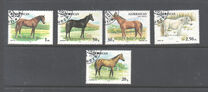 [Horses, Вид Z]