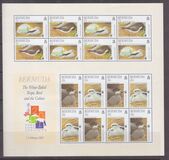 [Endangered Species - Bird Conservation, type YQ]
