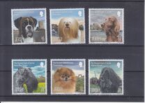 [Dogs - The Kennel Club of Jersey, veids BKG]