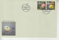 [Apples, Tipi MB]