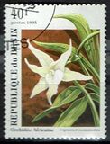 [Orchids, տեսակ RH]