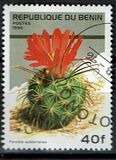 [Flowering Cacti, type TV]
