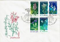 [Protected Plants, type ASQ]