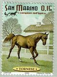 [Race Horses, type BNX]