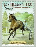 [Race Horses, type BNZ]