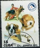 [Cats and Dogs, Tipi GLC]