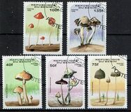[Fungi, type UU]