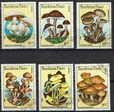 [Fungi, type CE]