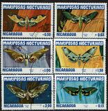 [Butterflies, type BGZ]