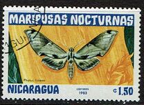 [Butterflies, type BHD]