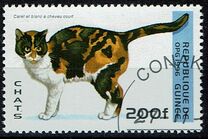 [Cats, type ASM]
