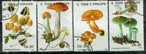 [Fungi, 类型 AAZ]