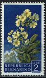 [Flowers & Monte Titano, տեսակ IX]
