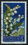 [Flowers & Monte Titano, տեսակ JA]