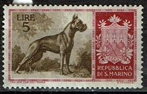 [Dog Breeds, tegund IG]