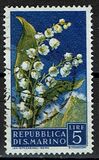 [Flowers & Monte Titano, տեսակ JA]