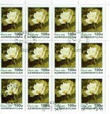 [Roses, տեսակ IU]