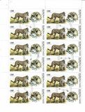 [Big Cats, type PU]