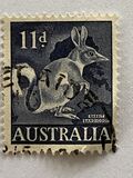 [Animals, tyyppi GB]