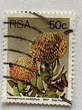[Flora - Protea Plants, type PU1]