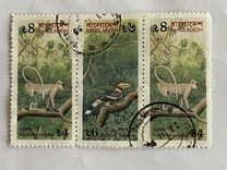 [Endangered Species, tipas KW]