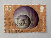 [Shells, type AAL]