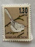 [Songbirds, Вид AUG]