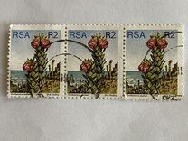 [Flora - Protea Plants, type PW]