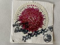 [Flowers - Chrysanthemum, प्रकार IHU]