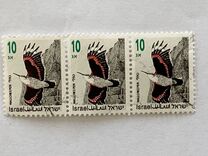 [Songbirds, type ATA]