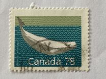 [Canadian Mammals, type AOK]