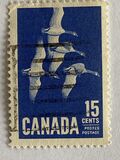 [Canada Geese, type JI]