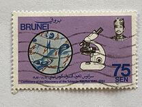 [The 100th Anniversary of Robert Koch's Discovery of Tubercle Bacillus, tip DO]
