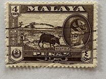 [Sultan Yussuf Izzudin Shah & Local Motifs, Вид Z]