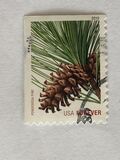 [Christmas - USA Forever - Self-Adhesive Stamps (44 cents), type FTA]