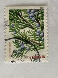 [Christmas - USA Forever - Self-Adhesive Stamps (44 cents), type FTB]