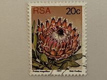 [Flora - Protea Plants, type PR]