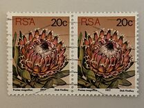 [Flora - Protea Plants, type PR1]