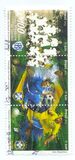 [The 100th Anniversary of the Brazilian National Football Team, type ETC]