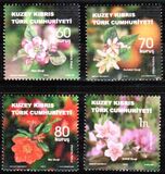 [Fruit-Tree Flowers, タイプ ADQ]