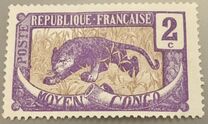 [Leopard - Panthera pardus, type A1]