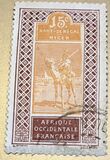 [Targui Rider with Camel, typ D5]