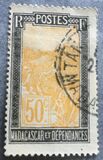 [Local Motives, type EA12]