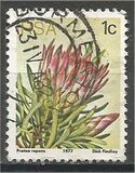 [Flora - Protea Plants, tyyppi PG]