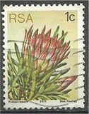 [Flora - Protea Plants, tyyppi PG]
